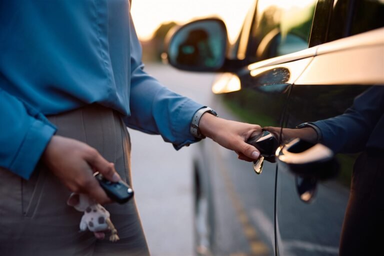 Enfant ou animal enfermé dans la voiture : réagir vite et bien